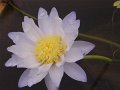 DSC04565_1